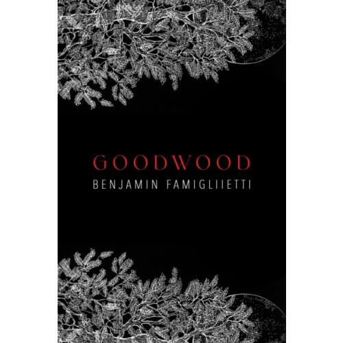 Austin Macauley Publishers LLC Goodwood (häftad, eng)