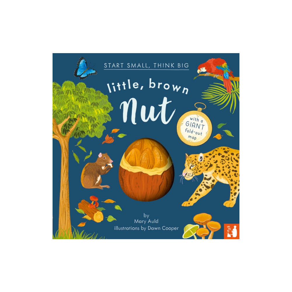 Produktbild för Little, Brown Nut (inbunden, eng)