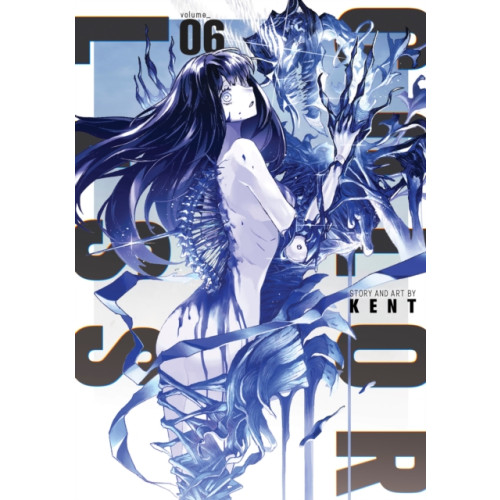 Seven Seas Entertainment, LLC COLORLESS Vol. 6 (häftad, eng)