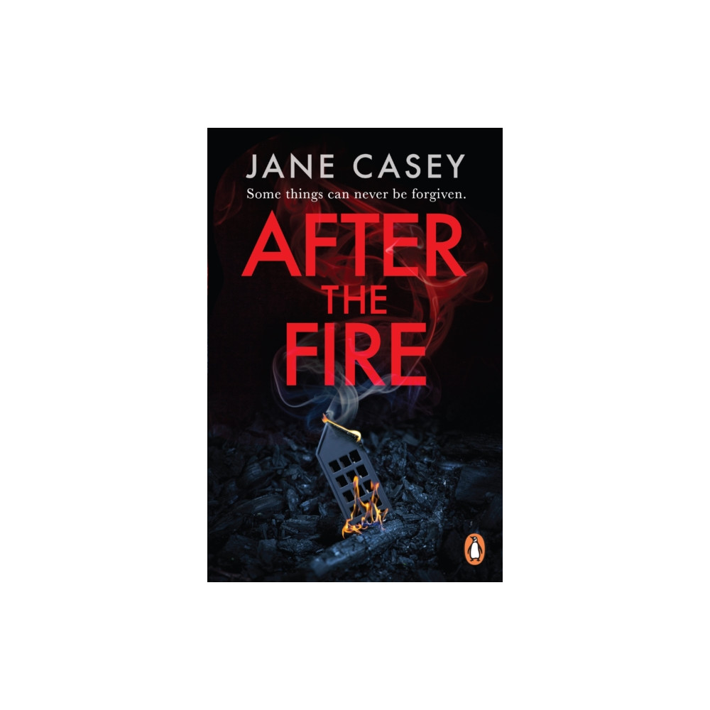 Produktbild för After the Fire (häftad, eng)