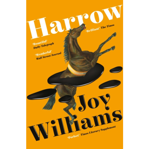 Profile Books Ltd Harrow (häftad)