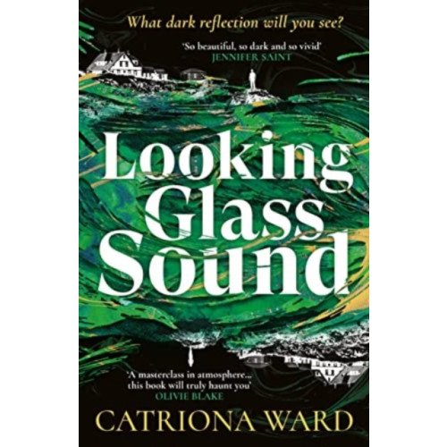 Profile Books Ltd Looking Glass Sound (häftad)