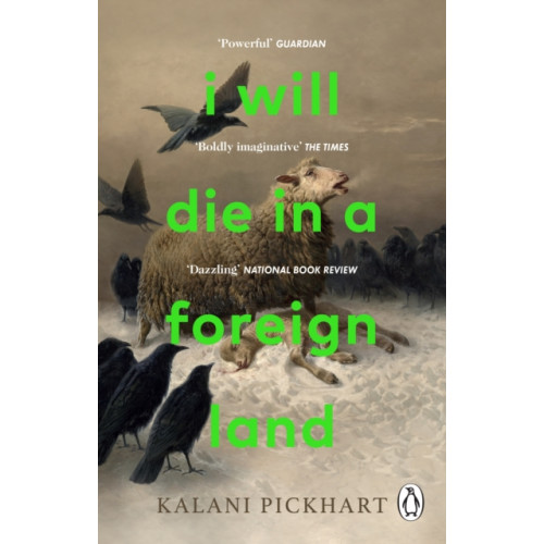 Transworld publishers ltd I Will Die in a Foreign Land (häftad, eng)