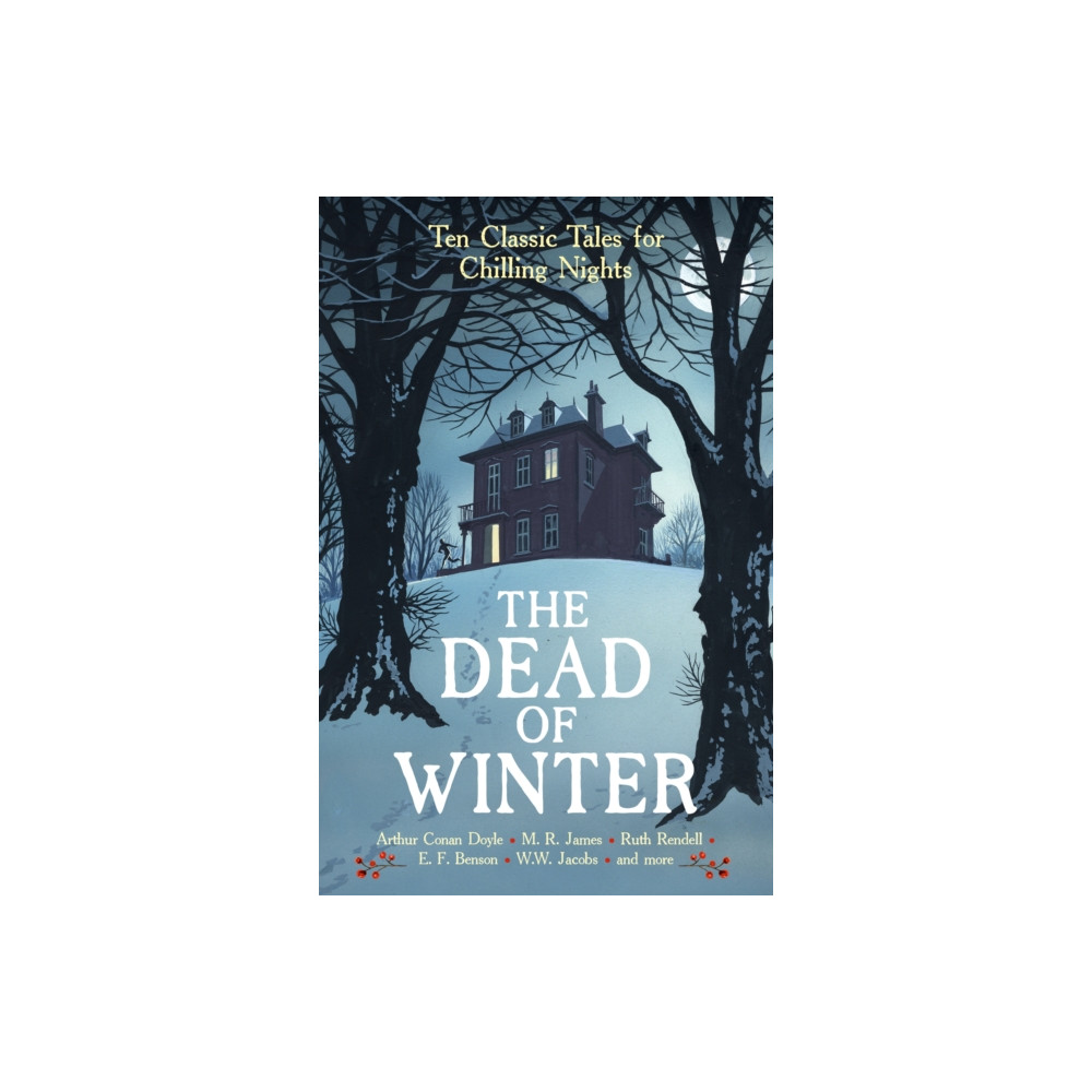 Produktbild för The Dead of Winter (häftad, eng)