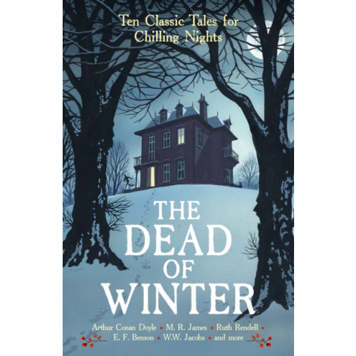 Profile Books Ltd The Dead of Winter (häftad, eng)