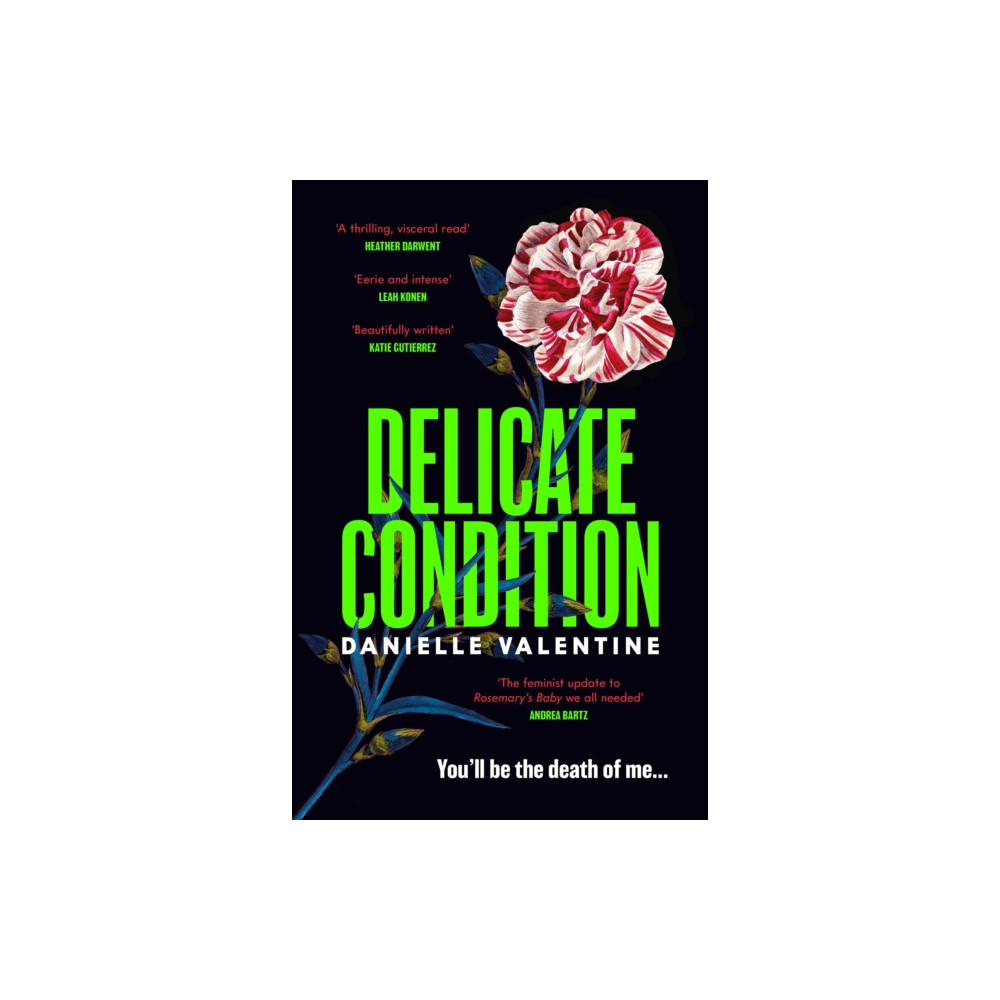 Produktbild för Delicate Condition (inbunden, eng)