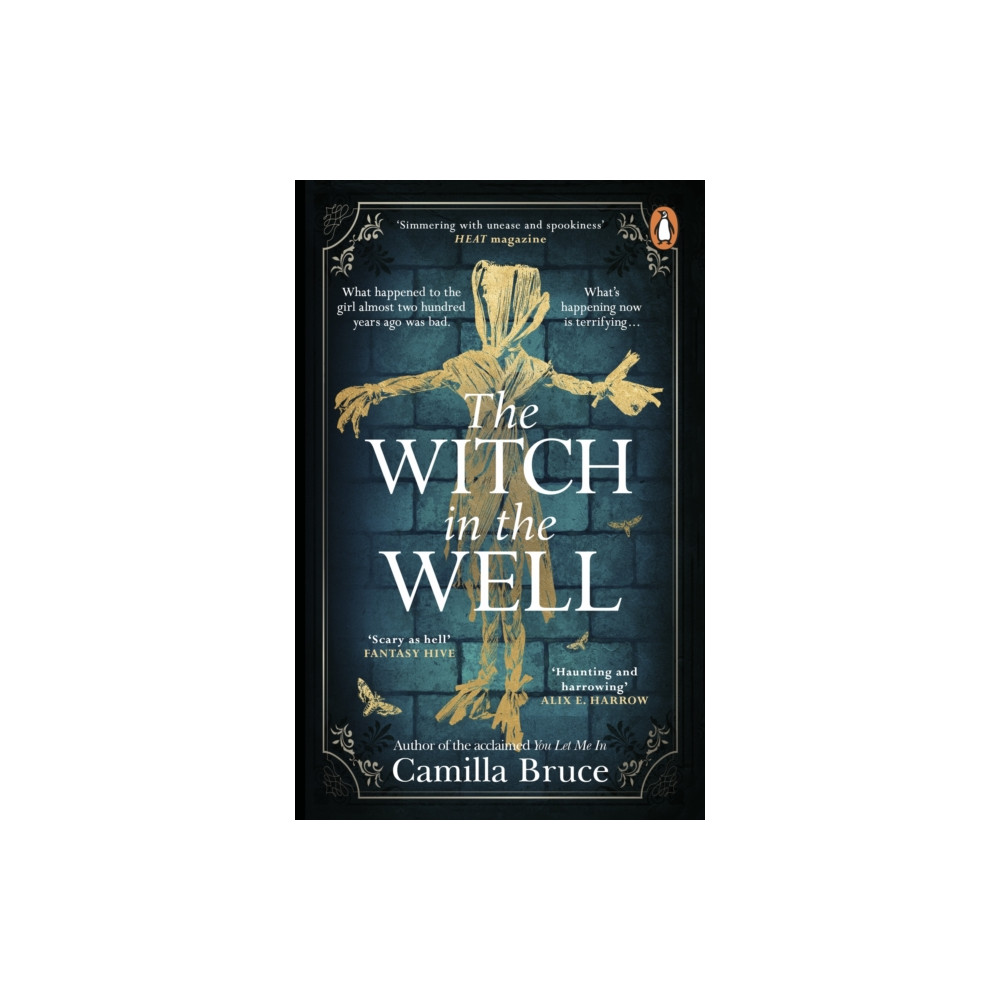 Produktbild för The Witch in the Well (häftad, eng)