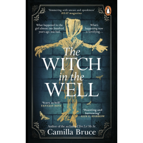 Transworld publishers ltd The Witch in the Well (häftad, eng)