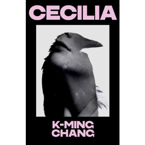 Vintage Publishing Cecilia (inbunden, eng)