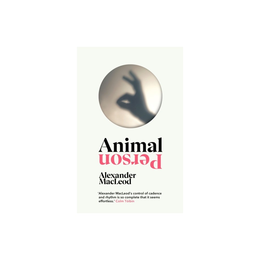 Produktbild för Animal Person (inbunden, eng)