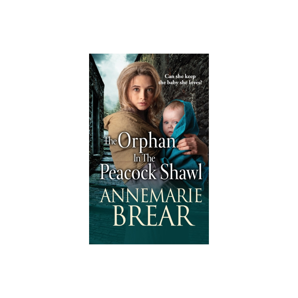 Produktbild för The Orphan in the Peacock Shawl (inbunden, eng)
