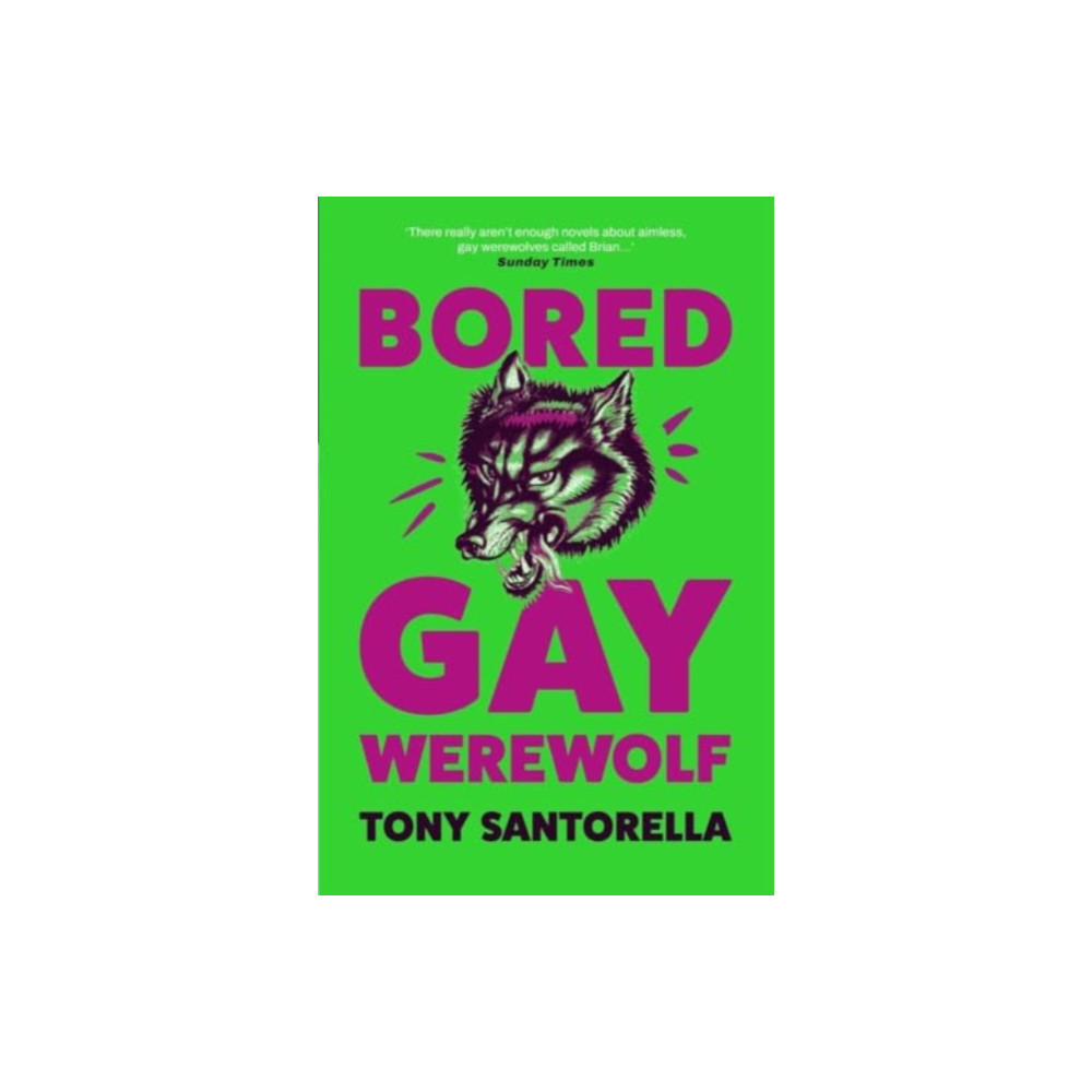 Produktbild för Bored Gay Werewolf (häftad, eng)