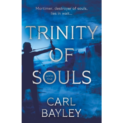 Troubador Publishing Trinity of Souls (häftad, eng)