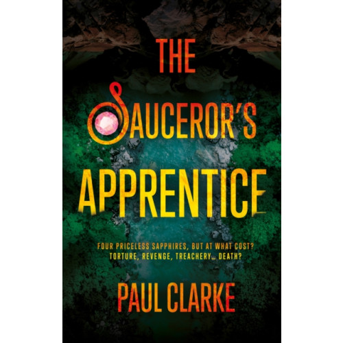 Troubador Publishing The Sauceror’s Apprentice (häftad, eng)