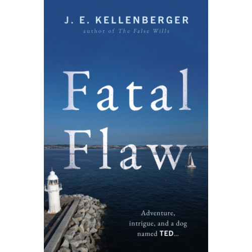 Troubador Publishing Fatal Flaw (häftad, eng)