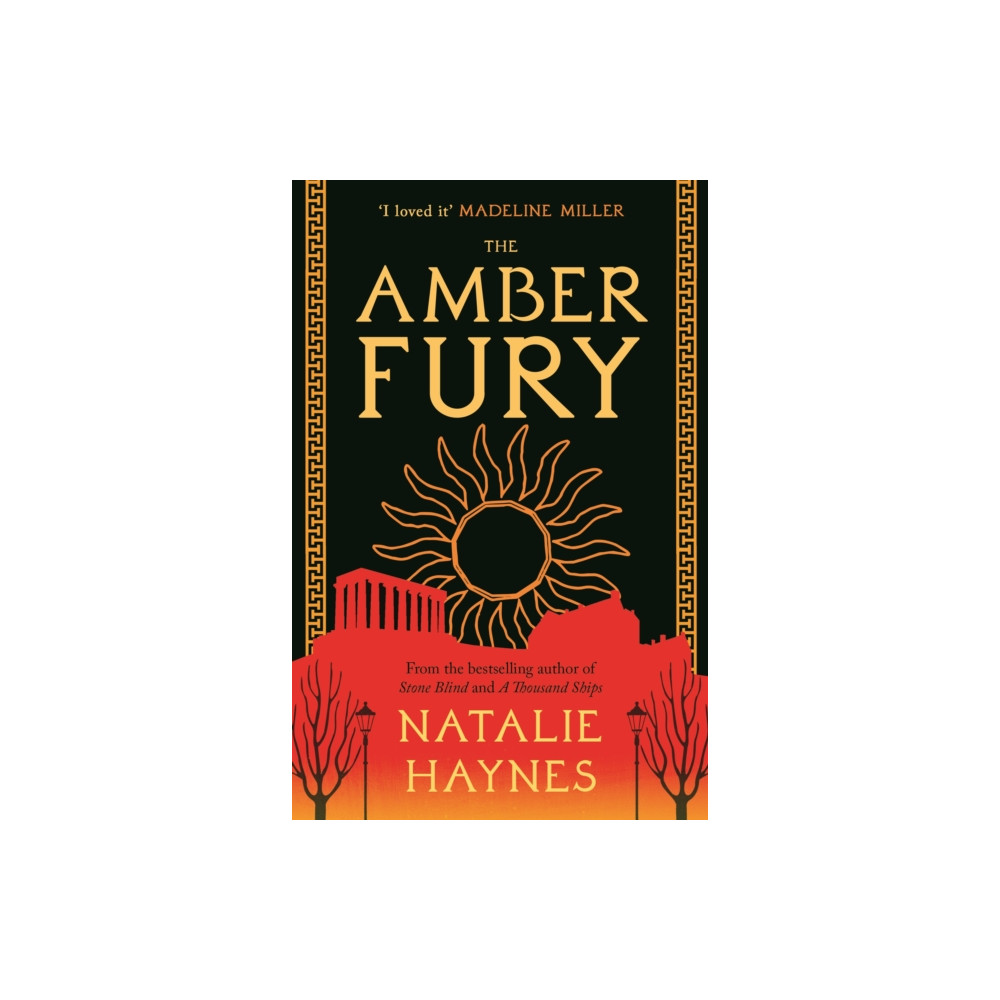Produktbild för The Amber Fury (häftad, eng)