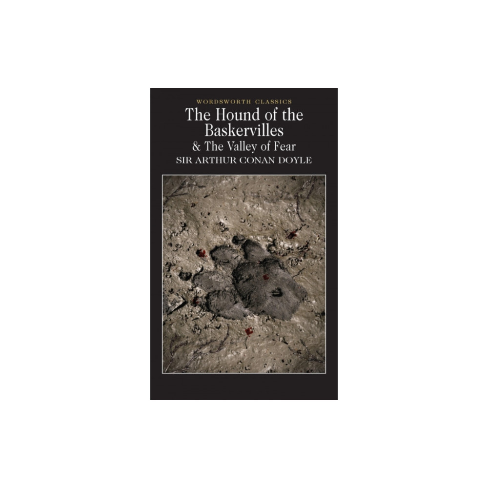 Produktbild för The Hound of the Baskervilles & The Valley of Fear (häftad, eng)