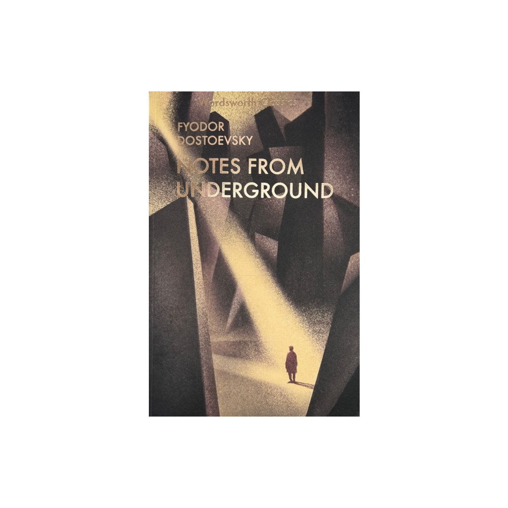 Produktbild för Notes From Underground & Other Stories (häftad, eng)