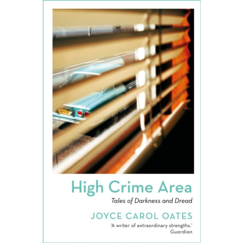 Bloomsbury Publishing PLC High Crime Area (häftad, eng)