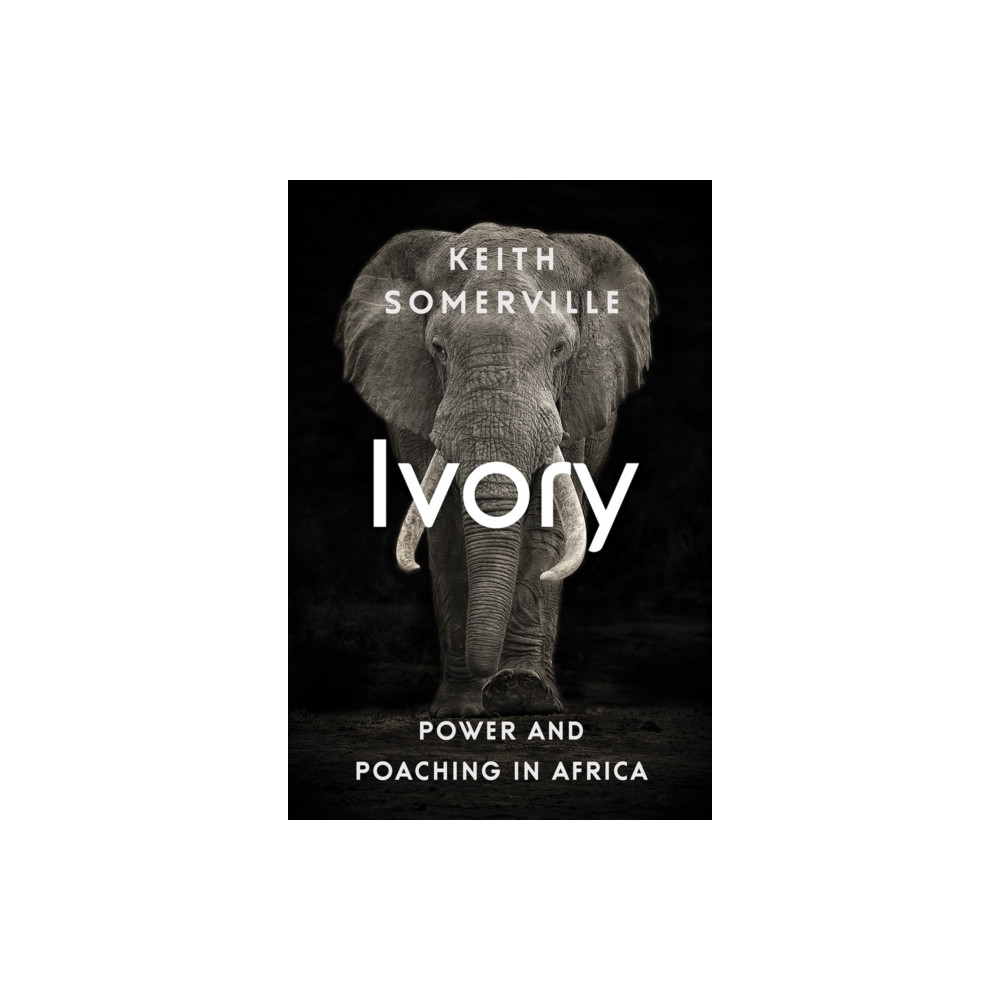 Produktbild för Ivory (häftad, eng)