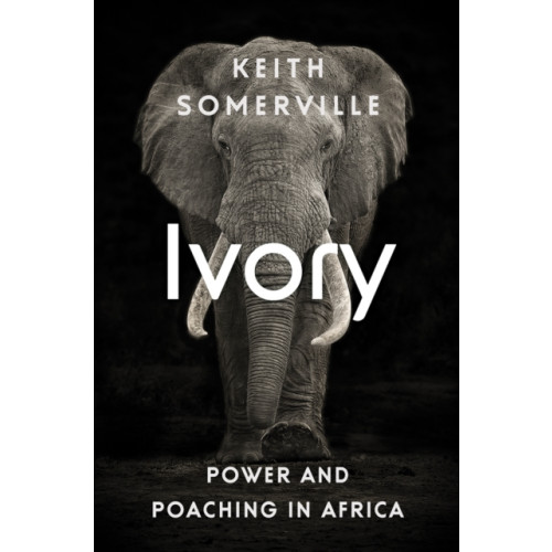 C hurst & co publishers ltd Ivory (häftad, eng)