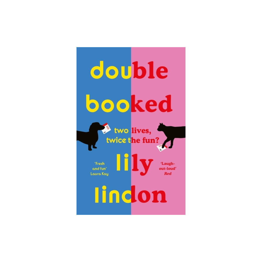 Produktbild för Double Booked (häftad, eng)
