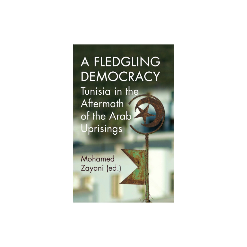 Produktbild för A Fledgling Democracy (häftad, eng)