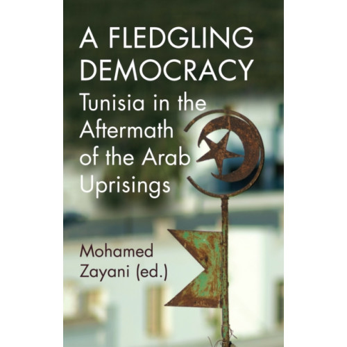 C hurst & co publishers ltd A Fledgling Democracy (häftad, eng)