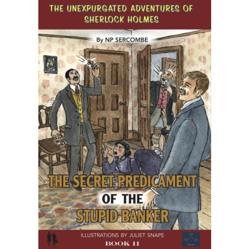 EVA BOOKS The Secret Predicament of the Stupid Banker (inbunden, eng)