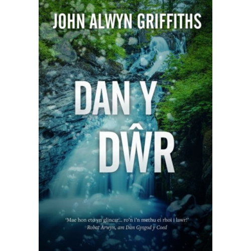 Gwasg Carreg Gwalch Dan y Dwr (häftad, wel)