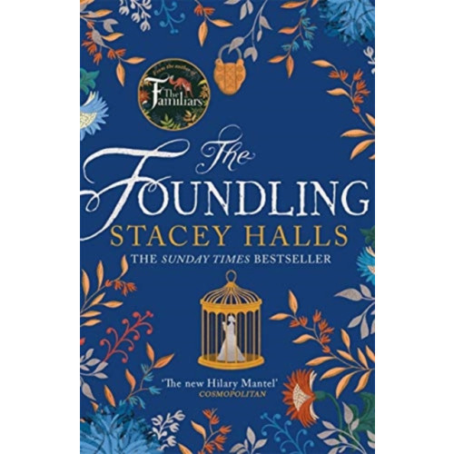 Bonnier Books Ltd The Foundling (häftad, eng)