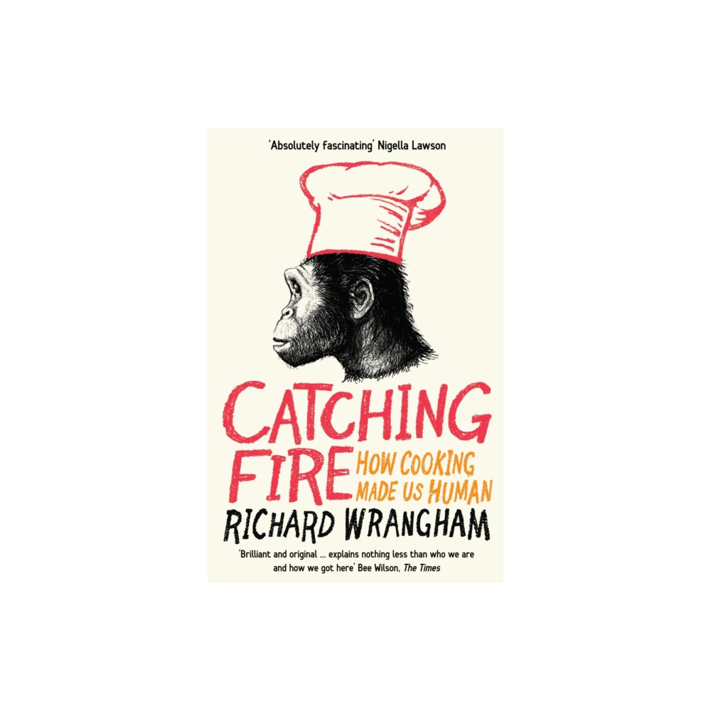 Produktbild för Catching Fire (häftad, eng)
