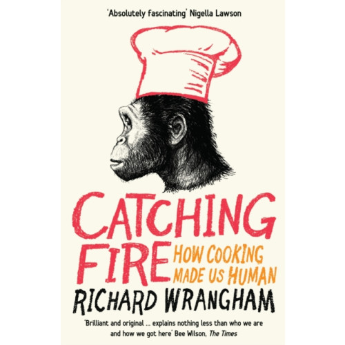 Profile Books Ltd Catching Fire (häftad, eng)