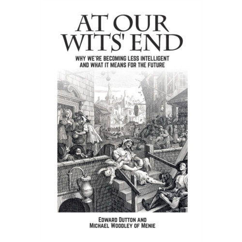 Imprint Academic At Our Wits' End (häftad, eng)