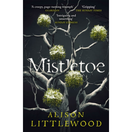 Quercus Publishing Mistletoe (häftad, eng)