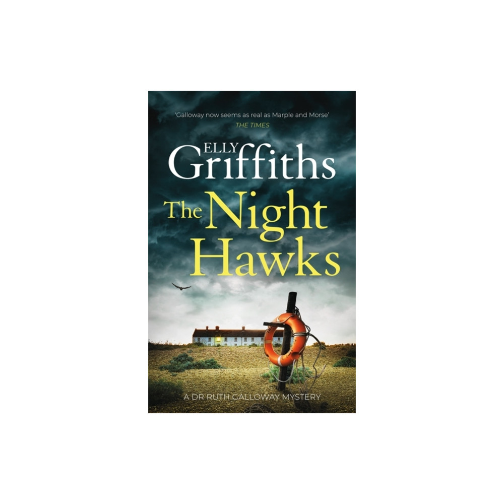 Produktbild för The Night Hawks (häftad, eng)