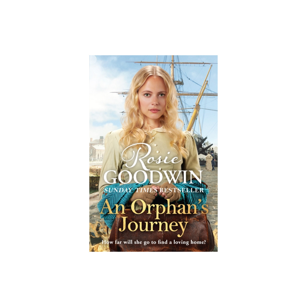 Produktbild för An Orphan's Journey (inbunden, eng)