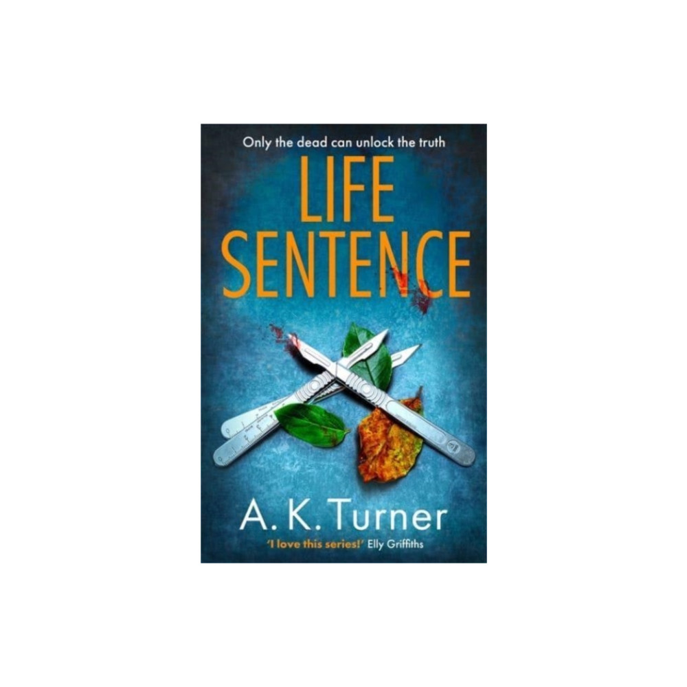 Produktbild för Life Sentence (häftad, eng)