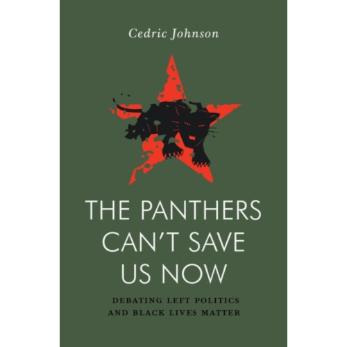 Verso Books The Panthers Can't Save Us Now (häftad, eng)