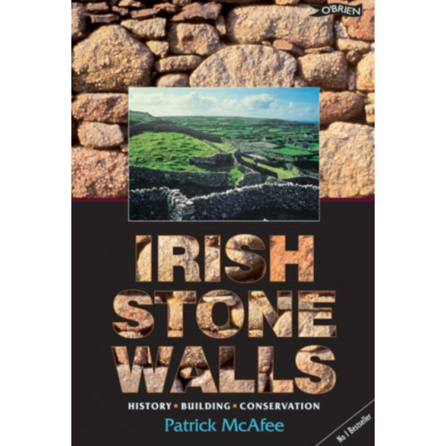 O'Brien Press Ltd Irish Stone Walls (häftad, eng)