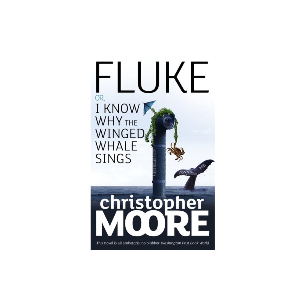 Produktbild för Fluke (häftad, eng)
