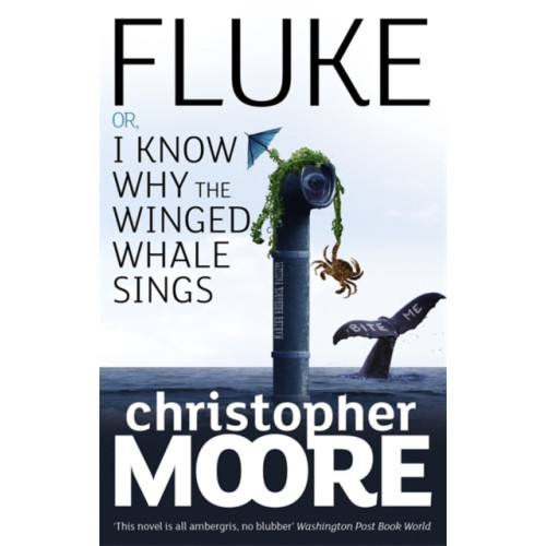 Little, Brown Book Group Fluke (häftad, eng)