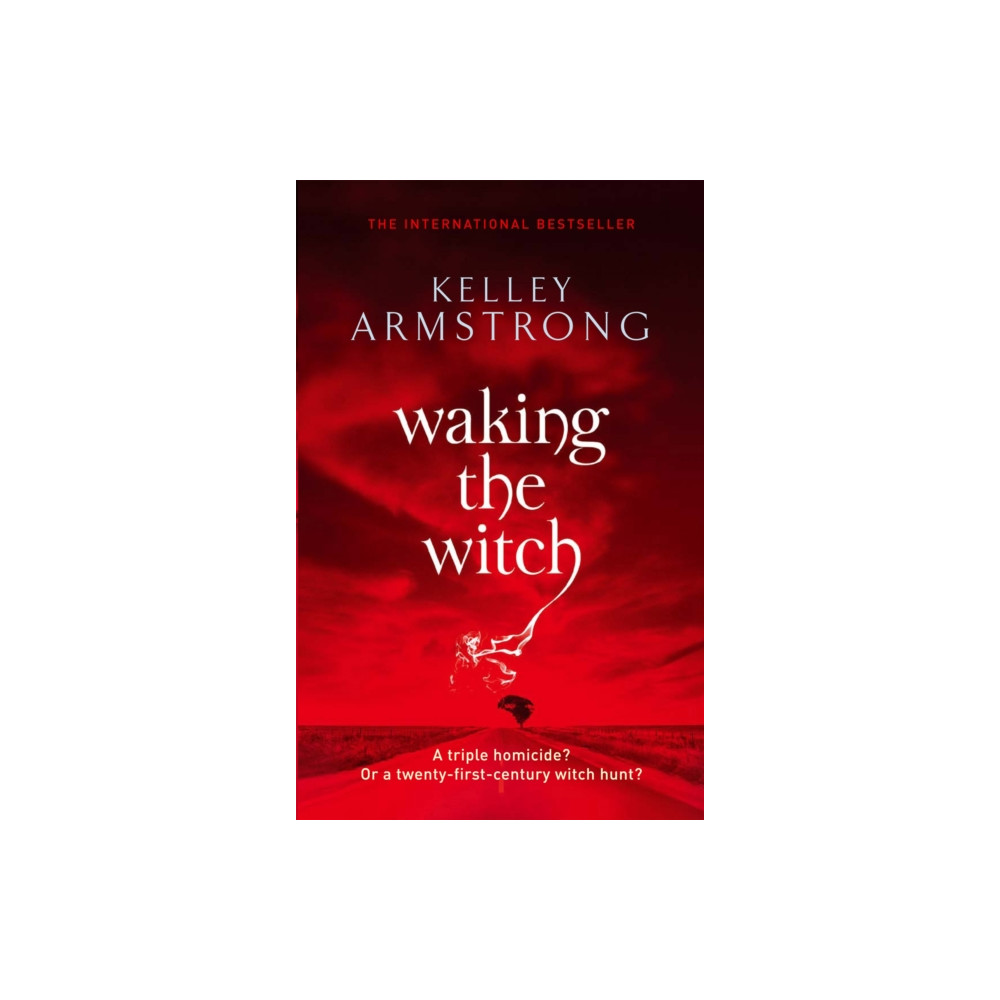 Produktbild för Waking The Witch (häftad, eng)