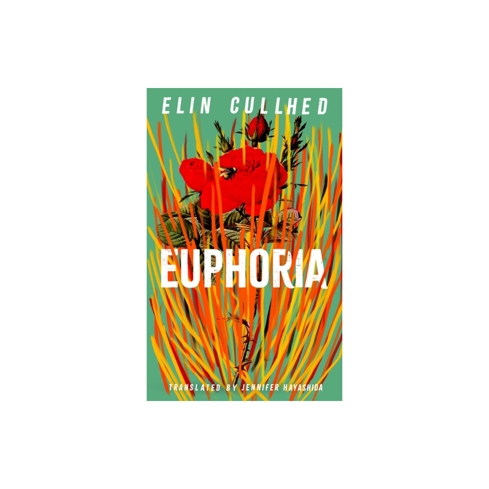 Produktbild för Euphoria (häftad, eng)