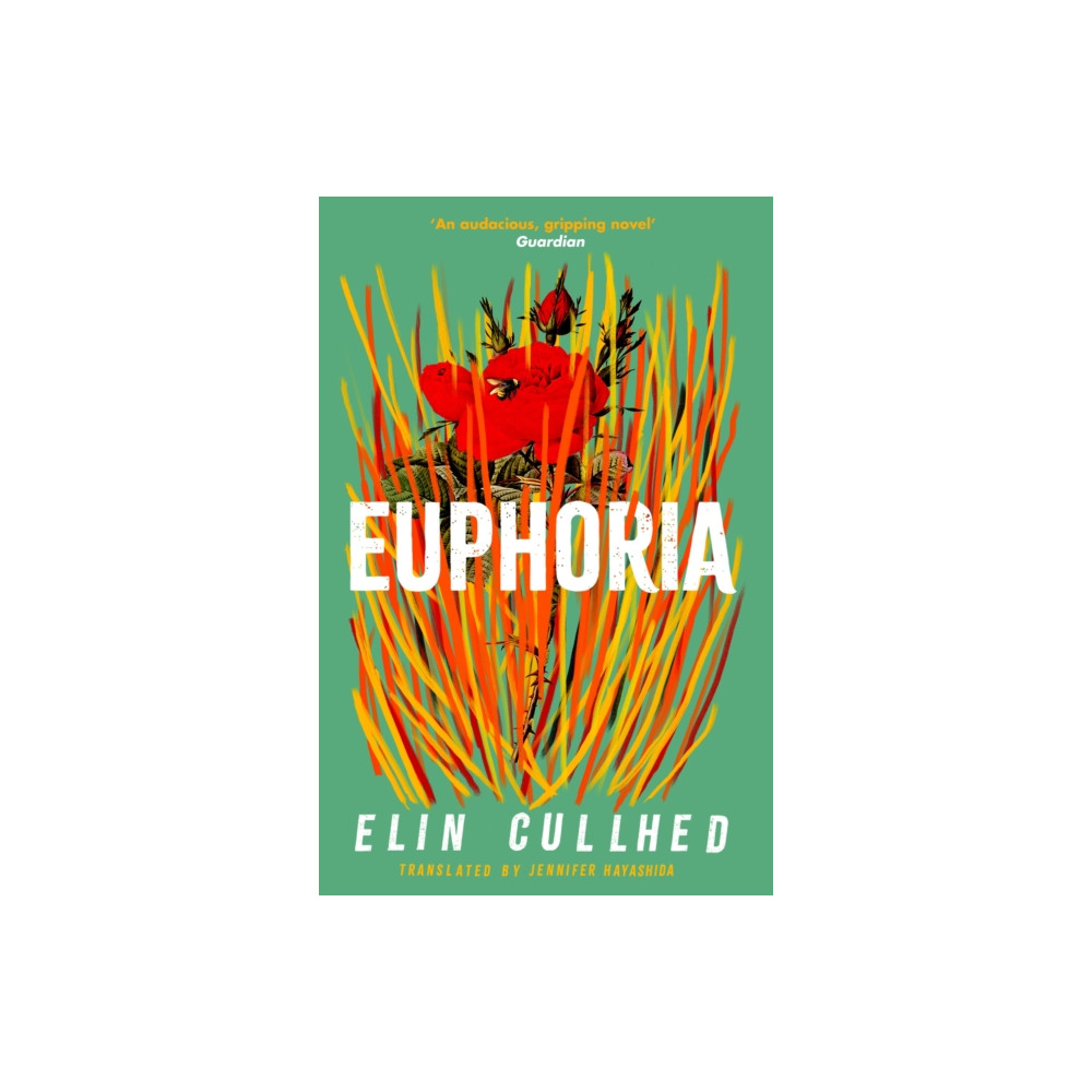 Produktbild för Euphoria (häftad, eng)