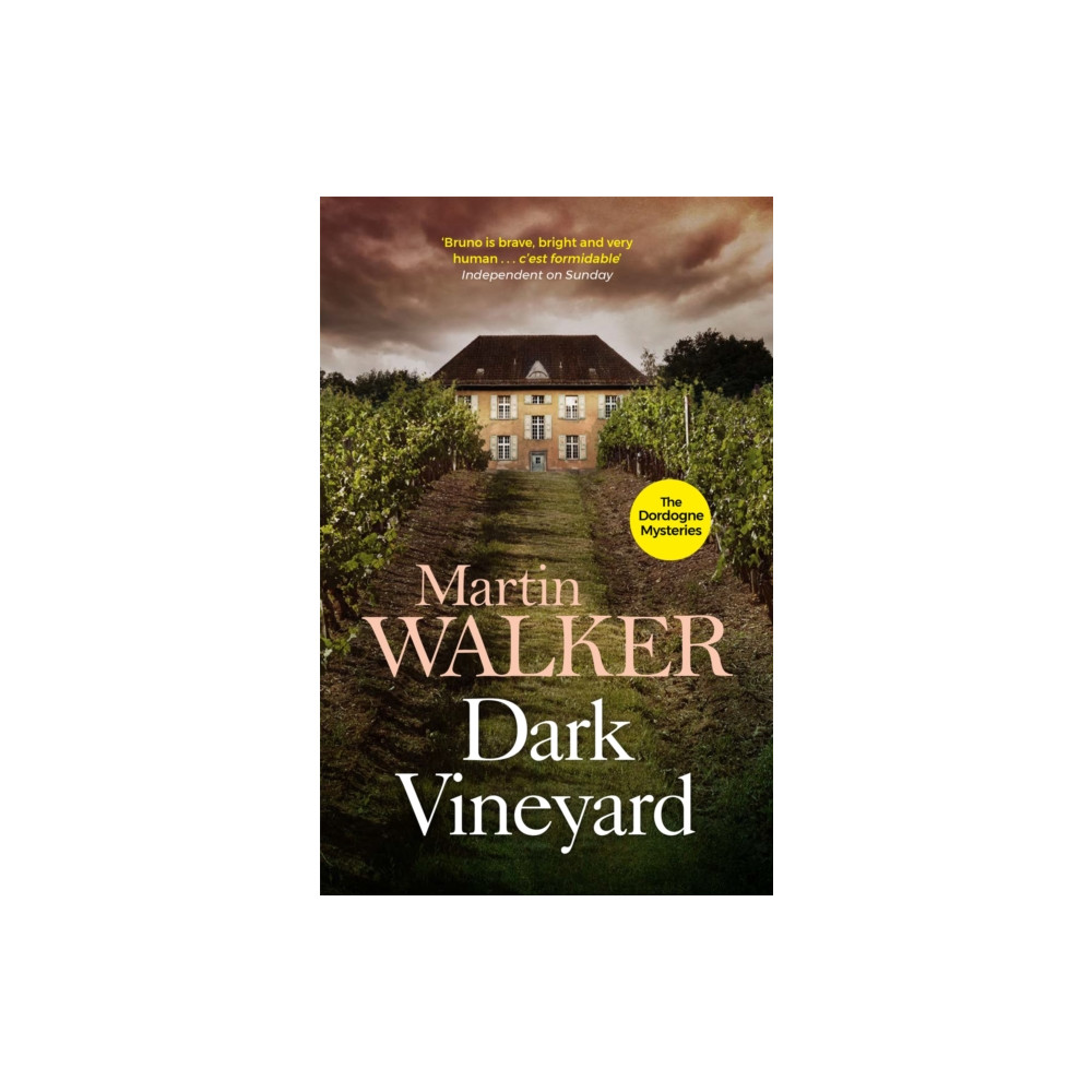 Produktbild för Dark Vineyard (häftad, eng)