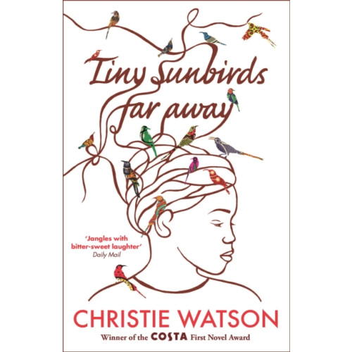 Quercus Publishing Tiny Sunbirds Far Away (häftad, eng)