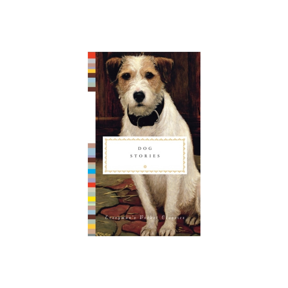 Produktbild för Dog Stories (inbunden, eng)