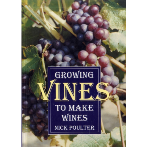 Fox Chapel Publishers International Growing Vines to Make Wines (häftad, eng)