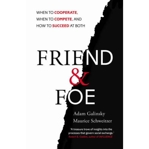 Cornerstone Friend and Foe (häftad, eng)